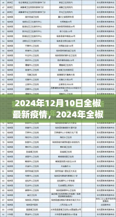 审视现状，2024年全椒最新疫情观察与立场分析
