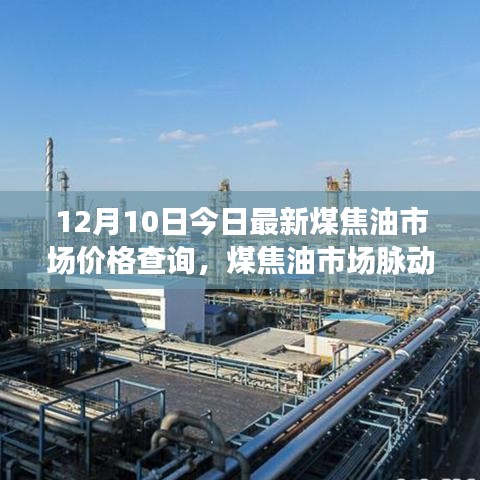 12月10日煤焦油市场价格最新动态，市场动态及价格探析