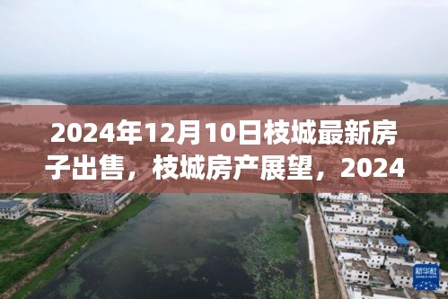 枝城房产市场展望，最新房子出售分析与市场趋势解读（2024年）