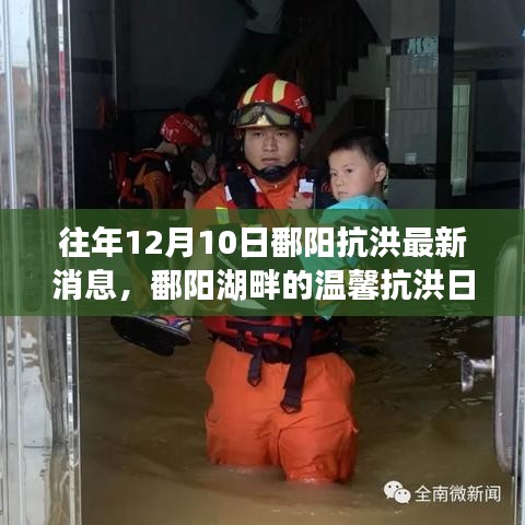 鄱阳湖畔抗洪日常，友情故事与最新消息回顾