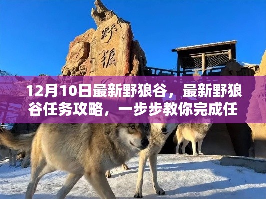 最新野狼谷任务攻略，详细步骤教你轻松完成任务