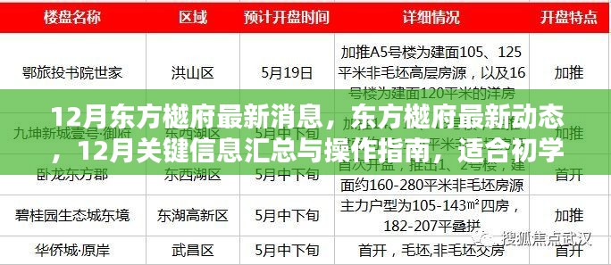 12月东方樾府最新消息与操作指南，初学者与进阶用户必读