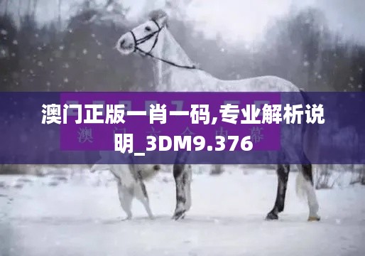 澳门正版一肖一码,专业解析说明_3DM9.376