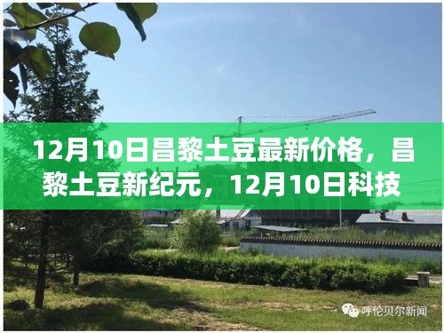 昌黎土豆最新价格探索，科技前沿之旅的新纪元