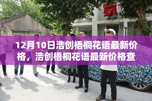 12月10日浩创梧桐花语最新价格指南，轻松查询，初学者必备
