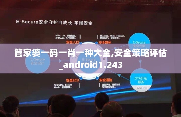 管家婆一码一肖一种大全,安全策略评估_android1.243