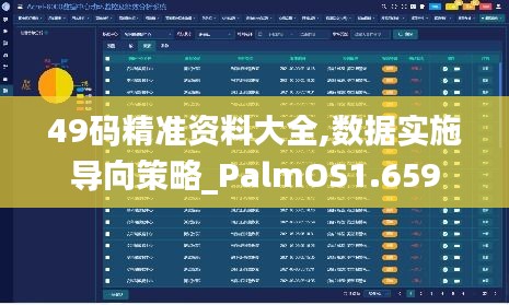49码精准资料大全,数据实施导向策略_PalmOS1.659