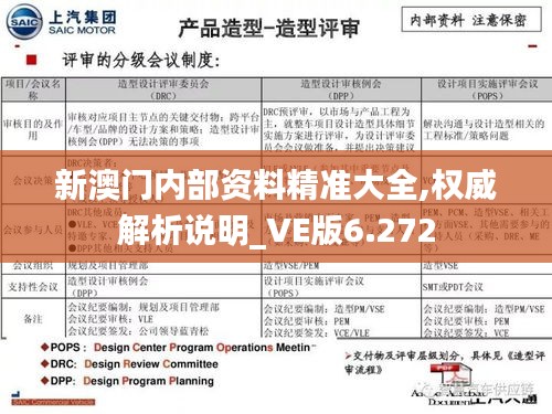 新澳门内部资料精准大全,权威解析说明_VE版6.272