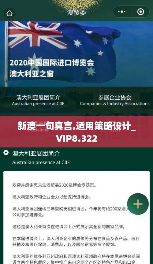 新澳一句真言,适用策略设计_VIP8.322