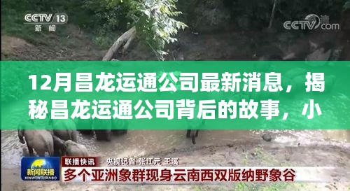 昌龙运通公司揭秘，小巷深处的特色小店新发现与最新动态