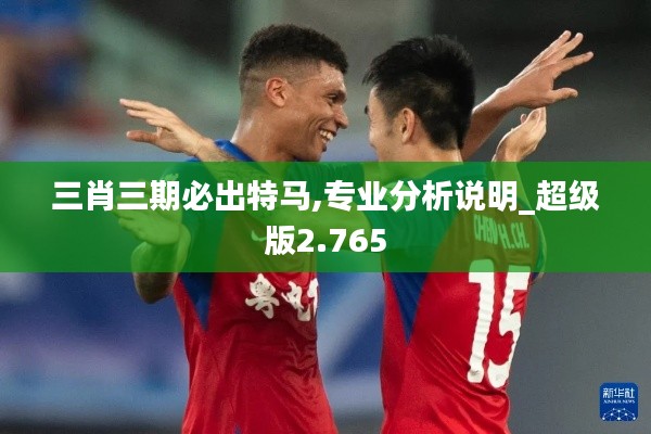 三肖三期必出特马,专业分析说明_超级版2.765