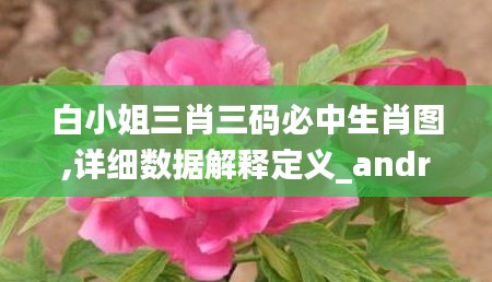 白小姐三肖三码必中生肖图,详细数据解释定义_android6.670
