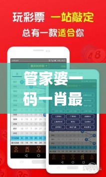 管家婆一码一肖最准图片,权威研究解释定义_Surface4.387