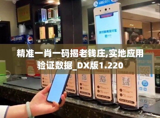 精准一肖一码揭老钱庄,实地应用验证数据_DX版1.220
