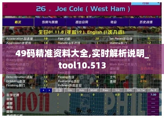 49码精准资料大全,实时解析说明_tool10.513