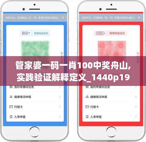 管家婆一码一肖100中奖舟山,实践验证解释定义_1440p19.416