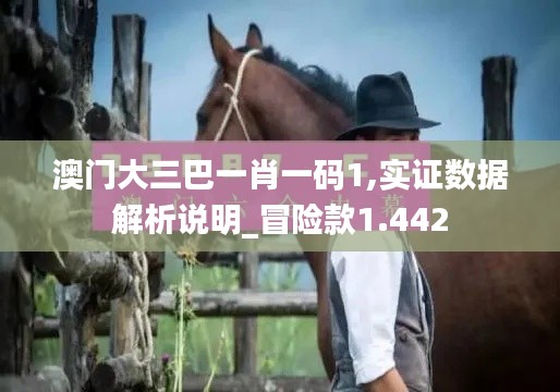 澳门大三巴一肖一码1,实证数据解析说明_冒险款1.442