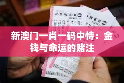 新澳门一肖一码中恃：金钱与命运的赌注