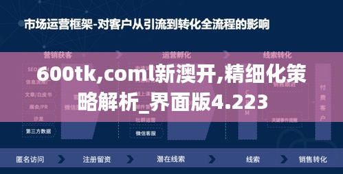 600tk,coml新澳开,精细化策略解析_界面版4.223