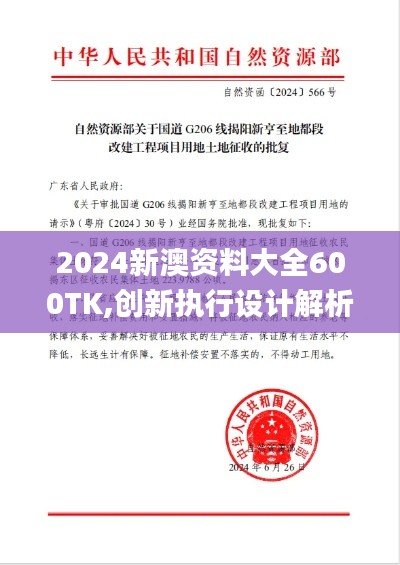 2024新澳资料大全600TK,创新执行设计解析_网页版14.566