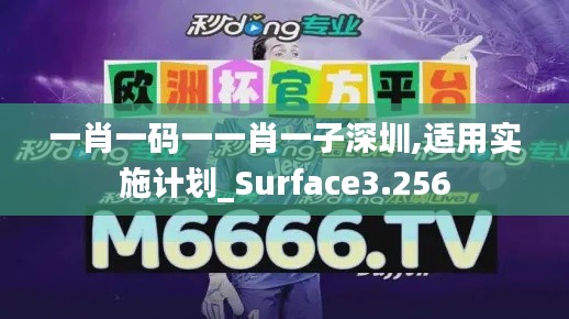 一肖一码一一肖一子深圳,适用实施计划_Surface3.256
