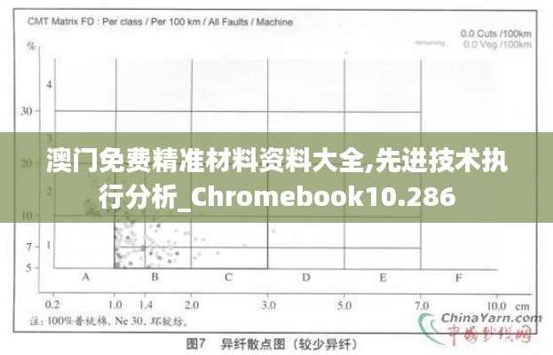 澳门免费精准材料资料大全,先进技术执行分析_Chromebook10.286