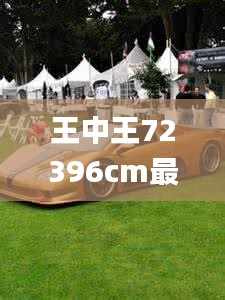 王中王72396cm最准一肖,多样化策略执行_挑战款13.982