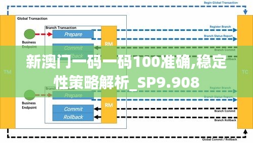 新澳门一码一码100准确,稳定性策略解析_SP9.908