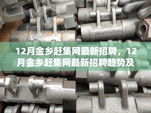 12月金乡赶集网最新招聘及求职指南，趋势解读与招聘动态