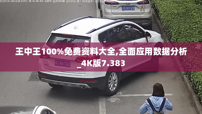 王中王100%免费资料大全,全面应用数据分析_4K版7.383