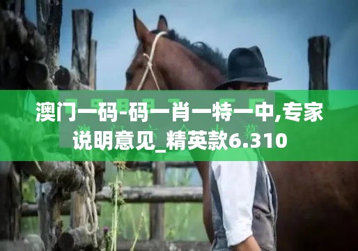 澳门一码-码一肖一特一中,专家说明意见_精英款6.310