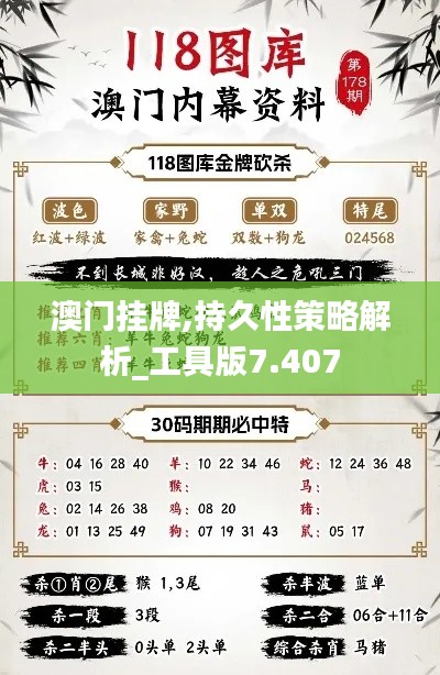 澳门挂牌,持久性策略解析_工具版7.407