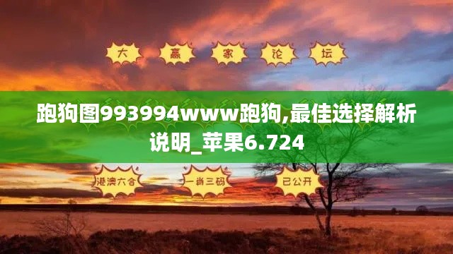 跑狗图993994www跑狗,最佳选择解析说明_苹果6.724