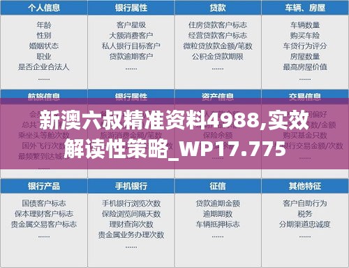 新澳六叔精准资料4988,实效解读性策略_WP17.775