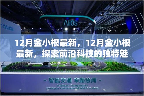 探索前沿科技魅力，金小根的最新发现与独特视角（十二月更新）
