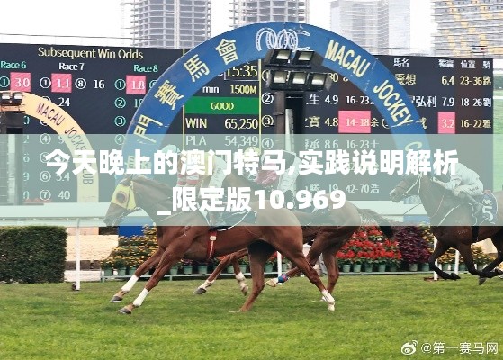 今天晚上的澳门特马,实践说明解析_限定版10.969
