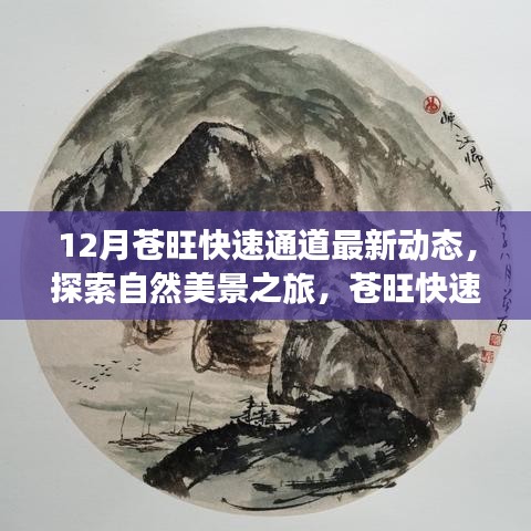 苍旺快速通道最新动态，自然美景之旅，启程寻找内心的宁静与平和