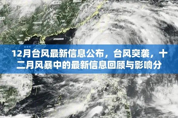 12月台风最新动态，风暴突袭与影响分析