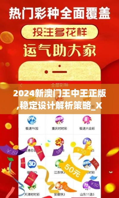 2024新澳门王中王正版,稳定设计解析策略_XR16.967