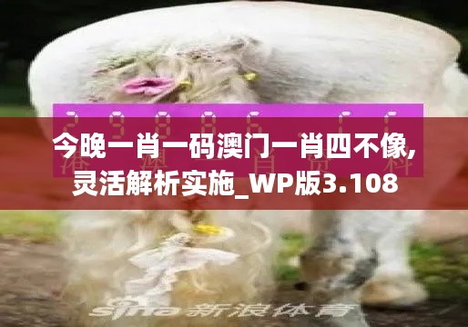 今晚一肖一码澳门一肖四不像,灵活解析实施_WP版3.108