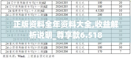 正版资料全年资料大全,收益解析说明_尊享款6.518