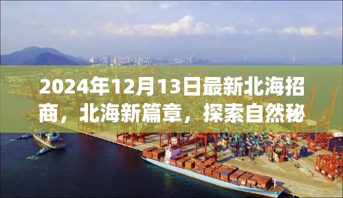 北海新篇章招商之旅，探索自然秘境的心灵觉醒（2024年招商信息）