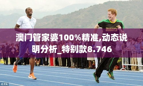 澳门管家婆100%精准,动态说明分析_特别款8.746
