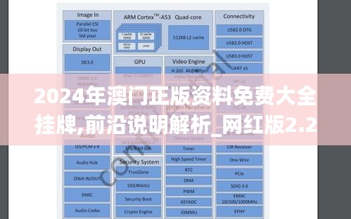 2024年澳门正版资料免费大全挂牌,前沿说明解析_网红版2.239