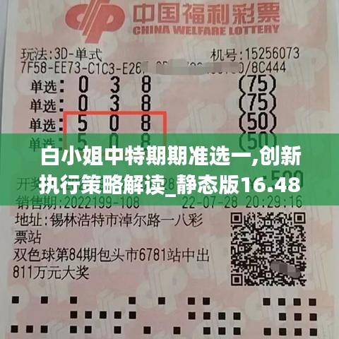 白小姐中特期期准选一,创新执行策略解读_静态版16.484