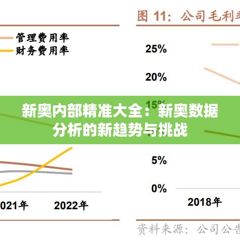 新奥内部精准大全：新奥数据分析的新趋势与挑战