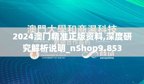 2024澳门精准正版资料,深度研究解析说明_nShop9.853