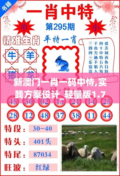 新澳门一肖一码中恃,实践方案设计_轻量版1.721
