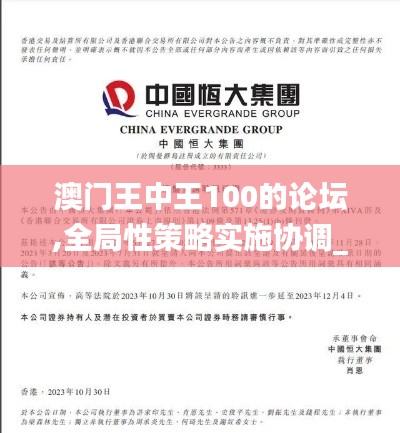 澳门王中王100的论坛,全局性策略实施协调_KP4.547