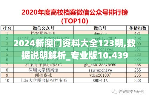 2024新澳门资料大全123期,数据说明解析_专业版10.439